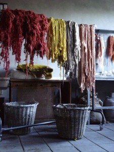 Cloudy Jongstra Dyeing Studio