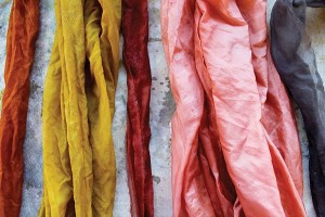 Sasha Duerr Compost Colours