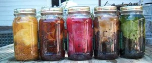 Solar Dyeing Jars